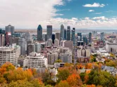 Montreal skyline with autumn foliage. 