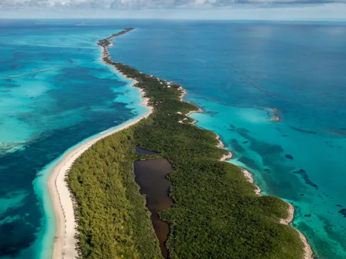 Caribbean