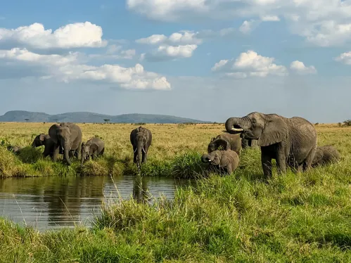Kenya
